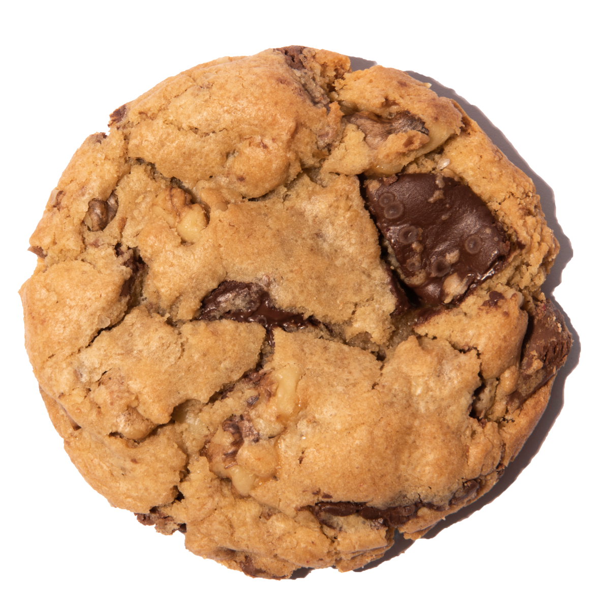 Chocolate Chip