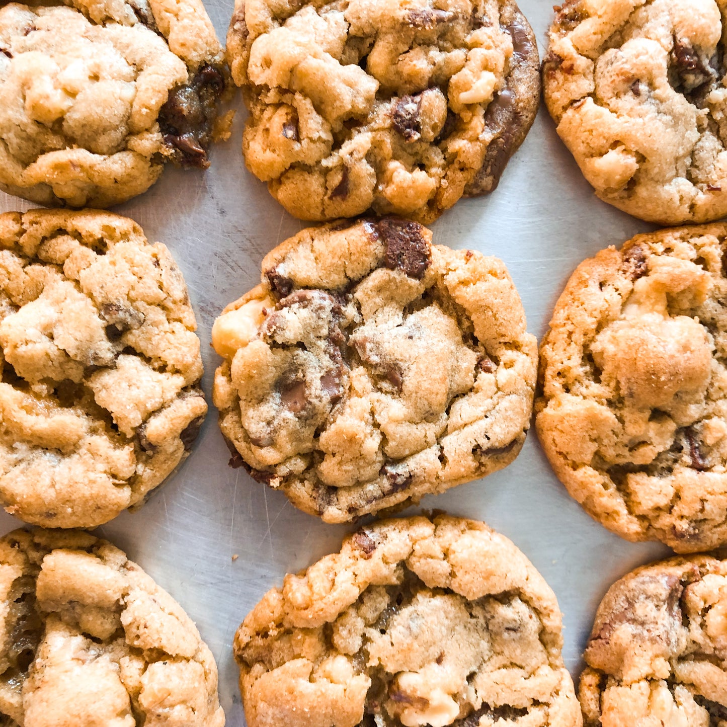 chocolate chip mini