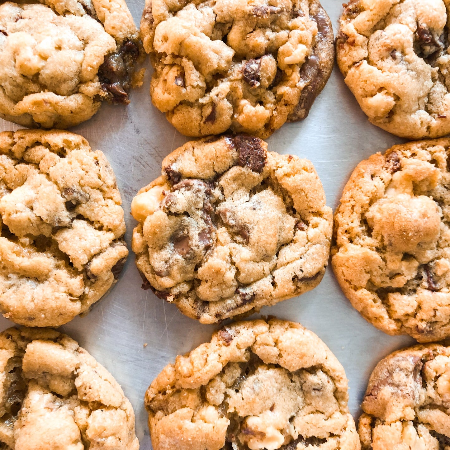 Chocolate Chip