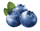 Blueberries